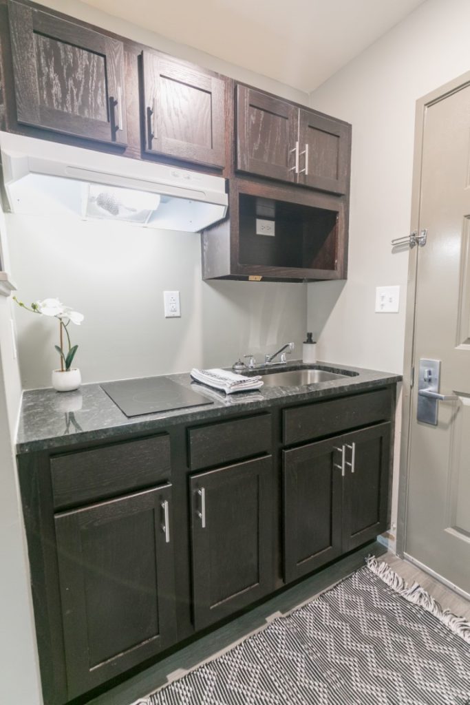 Rudy Studio Apartment in Hermitage - Kitchen